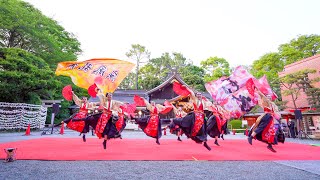 [4K] 疾風乱舞　審査演舞　秦野元気まつり 2021 ～春の陣～