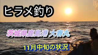 ヒラメ釣り 2024 鹿島港 大春丸