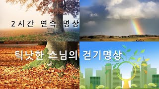 틱낫한 스님의 걷기 명상 Walking meditation | 치유 힐링 명상 | 이완 명상 | 명상 음악 | 힐링 치유 음악