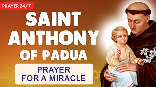 🔴 POWERFUL PRAYERS to SAINT ANTHONY of PADUA 🙏 for a MIRACLE - Prayer 24/7