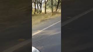 Berhampore to Susunia Pahar in just few seconds 🏍️ (180km) | Beautiful views 🔥