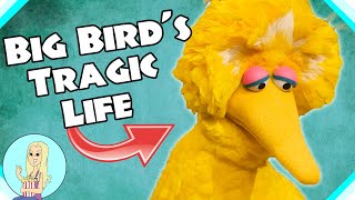 Big Bird's Incredibly Dark Backstory  | The Fangirl Theory