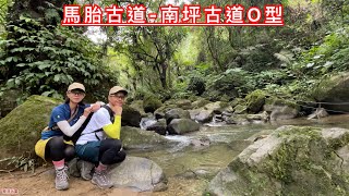 馬胎古道|南坪古道O型[樂活玩童NO.157]2024/11/03
