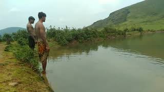 Kalia mali Swiming full