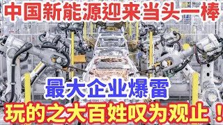 中国新能源迎来当头一棒，最大企业爆雷，玩的之大叹为观止！