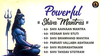 Powerful Shiva Mantras | Shiva Powerful Songs | Shiva Ancient Mantra | Slowed and Reverb