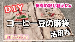 【DIY】コーヒー豆の麻袋をリメイクして多肉を植えるプランター作り❣️