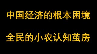 中国经济的本质困境，决策层的小农认知茧房