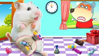 Oh No! Hamster Got Caught Stealing Candy!🐹Hammy The HAMSTER Maze🐹