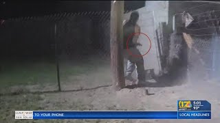 Bakersfield Police Department releases video of incident that left suspect, K9 Officer dead