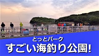 そこは日本最強の海釣り公園とっとパーク！最新情報や水中を紹介！