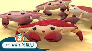 바다 탐험대 옥토넛 - 갈라파고스 붉은 게 - 모음집