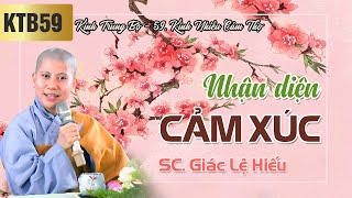 Nhận diện cảm xúc - Kinh Trung Bộ 59 - Kinh Nhiều Cảm Thọ - SC. Giác Lệ Hiếu