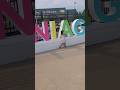 More than shopping at Niagara Outlet Mall #shorts #kidsfun