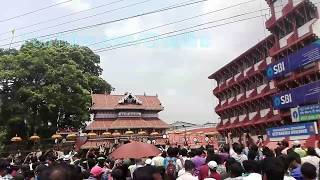 Trissur Pooram 2018 ആന തൃശ്ശൂർ പൂരം കുടമാറ്റം