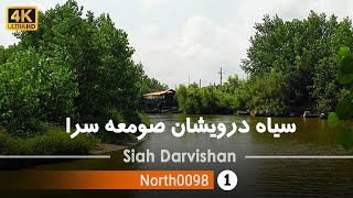 گردش در سیاه درویشان صومعه سرا,گیلان [4k] ایران - Siah Darvishan Village, Someh Sara, Gilan,Iran