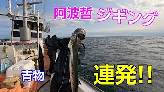 【ジギング】阿波哲ジギング