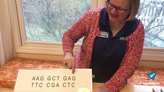 Write Your Initials in DNA Code!