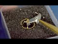 Rolex From Ebay - What's Behind The Bling