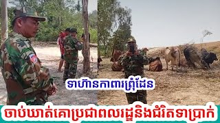 ធ្វើចឹងចប់បាត់ ទាហ៊ានកាពារព្រុំដែនចាប់សត្វគោពីប្រជាពលរដ្ឌជាឈ្មួញរកស៉ីគោនិងជុំរិតទាប្រាក់រាប់សែនរៀល