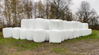 Köp Ensilage parti 40 st på Klaravik