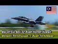 ✅ Malaysia Membeli 32 Buah F/A-18 Hornet Kuwait, 1 Buah Jet Pejuang Hornet Kuwait Jatuh