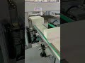 sorting device on the automatic gloves cartoning line