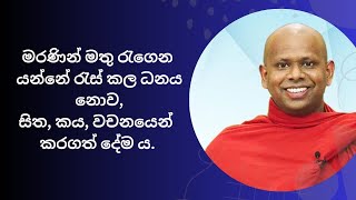 මරණින් මතු රැගෙන යන්නේ රැස් කළ ධනය නොව, සිත,කය, වචනයෙන් කරගත් දේම ය. 🙏🙏