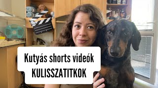 KULISSZATITKOK-így készülnek a kutyás shorts videók 🎬 #merlinkalandok