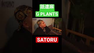 舐達麻のG PLANTSとSATORUが過去にコラボしていた  #shorts