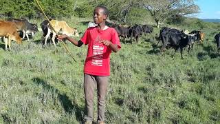 Climate chages is negatively affecting the Maasai people