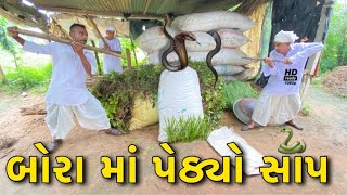 બોરા માં આયો સાપ | Bora Ma Aayo Saap | New Gujarati Comedy Video 2021