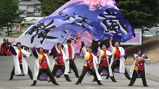 「 舞桜嵐 」長浜あざいあっぱれ祭り2023【ストリート会場】