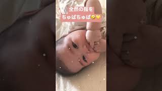 【生後4ヶ月】全部の指をちゅぱる娘 #baby #shorts