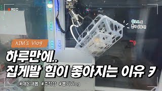 [내돈내뽑/Vlog] 하루만에 집게발 힘이 좋아지는 이유? 뽑기 왕초보의 뽑기 실력은? Claw machine