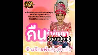 คืนคำสัญญา ( ดอนปู่ตา ) - ช้างจักรพันธ์ วงหมอลำสาวน้อยเพชรบ้านแพง ( Official Audio )