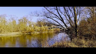 Proljeće usred zime s temperaturom od 18 celzijevih - #naturevideo #mura #xperia1iv #mobilevideo #4k