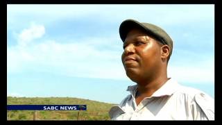 KZN farmers badly hit by devastating drought