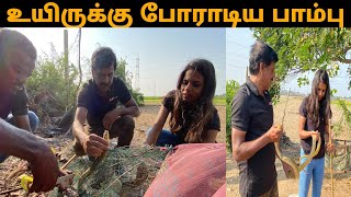 உயிருக்கு போராடிய பாம்பு | A SNAKE THAT FOUGHT FOR ITS LIFE | VIRAL@mchcreations1597