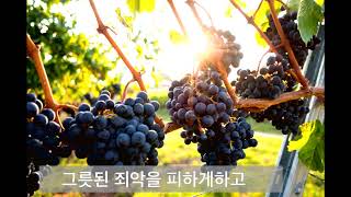 [가톨릭성가] 부드러운 주의 손이 439