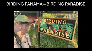 Birding Panama - Birding Paradise with Steve Culley