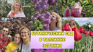 Ботанический сад.Таллинн.Эстония.Цветущая магнолия и сирень.Тропический дом и пирожные в кафе.Влог