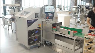 W-5600SRX - High-speed Stretch Packing Machine