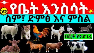 Animal names and sounds || Animal Sounds || የቤት እንስሳት ስም፣ ድምፅ እና ምስል