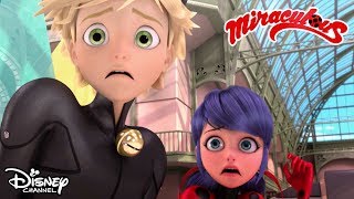 Song and Dance 🎼 | Miraculous Ladybug | Official Disney Channel Africa