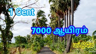 1 சென்ட்'ன் விலை 7000 மட்டுமே !!! |  1 plot 50 Cent | #2Tgroups | Pannai Nilam Virpanaikku