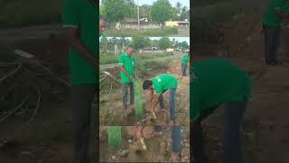 உன் உயரம் உன்னை விட உயரமே | #trees #treeplantation #farming #erode #society #motivation#agriculture