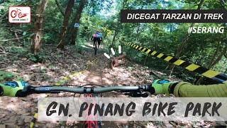 Gunung Pinang Bike Park // Dicegat Tarzan di Trek