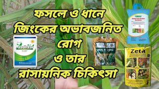 ফসলে ফসলে জিংকের অভাব জনিত রোগ ও তার রাসায়নিক চিকিৎসা । Zinc deficiency diseases in crops .