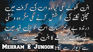 Mehram E Junoon Part 3|Harassment cousin Based Novel